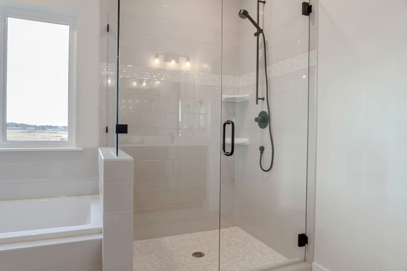 Shower with Black Frame Glass